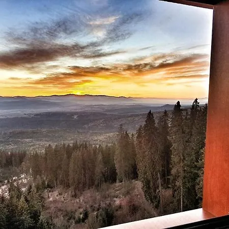 Panorama 10x-90x *
